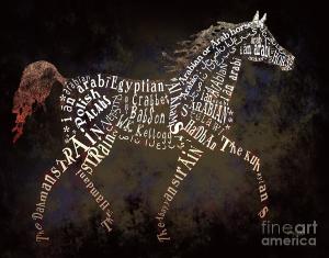 the-arabian-horse-in-typography-ginny-luttrell